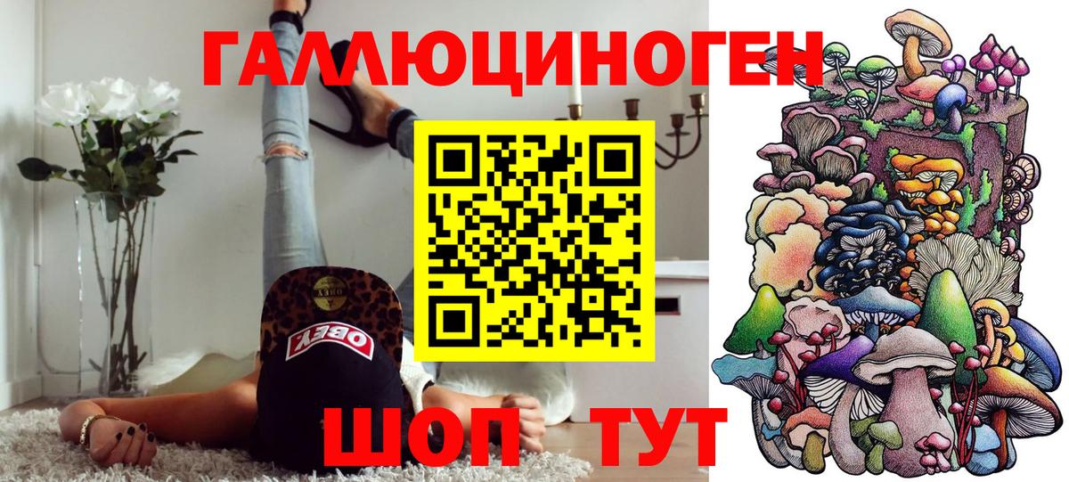 Дзержинск  Псилоцибиновые грибы Psilocybine cubensis  Вход с VPN 
