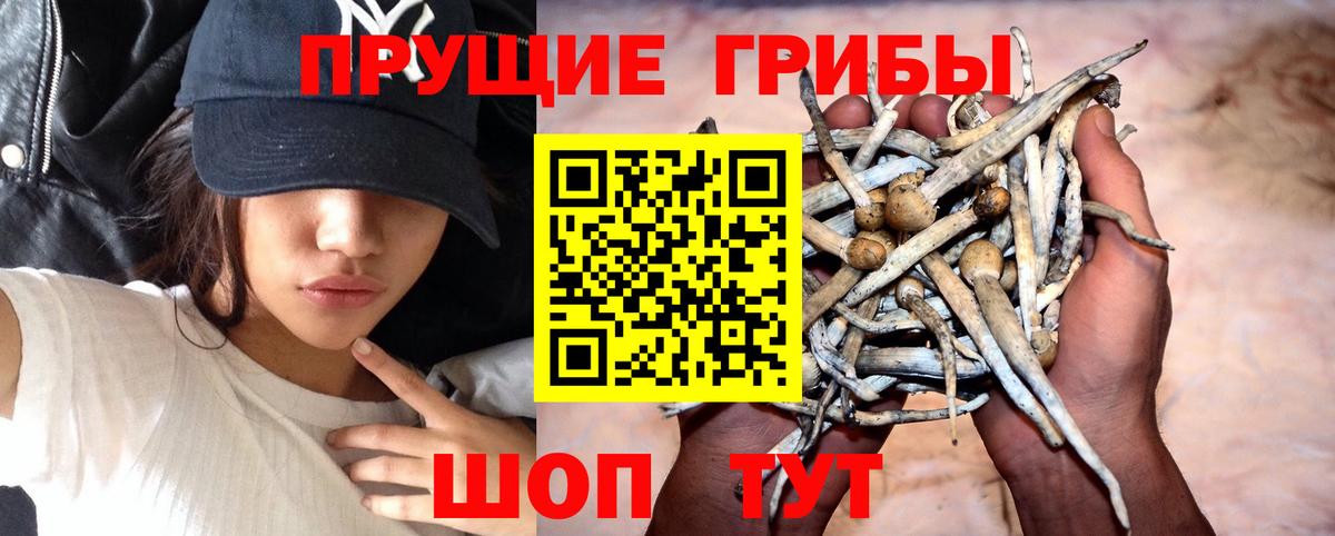 Псилоцибиновые грибы мухоморы Дзержинск